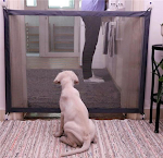 miniatures image - 0