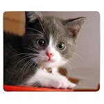miniatures image - 20