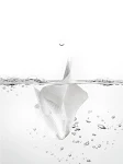 miniatures image - 1