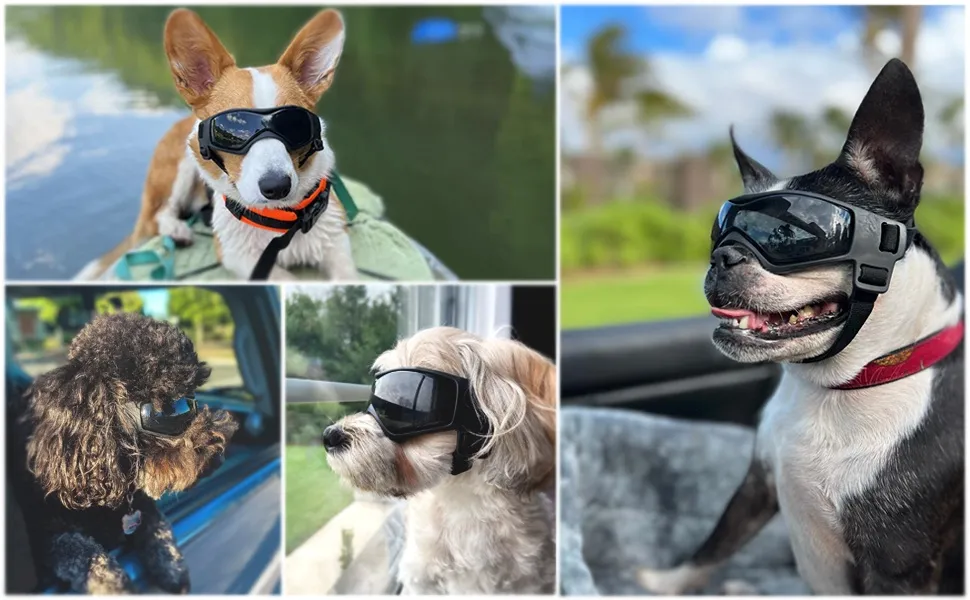 Title 3, S Dog Goggles Sunglasses for Small Breed UV Pro...