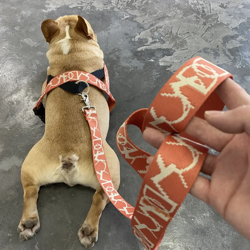 Teddy Vest-Style Collar and Chest Strap for Small and Medium Dogs, Puppies, Comfortable Design, Dog Chain Included — photo 4