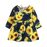 Blue sun flower