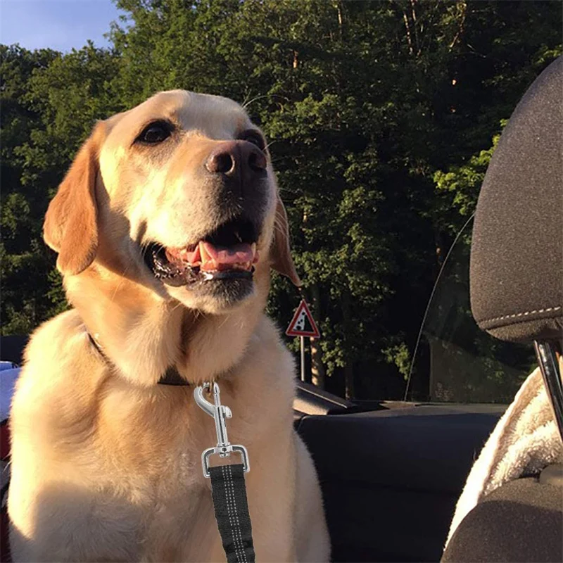 Title 12, Dog Seat Belt Car Harness for Dogs Adjustable ...