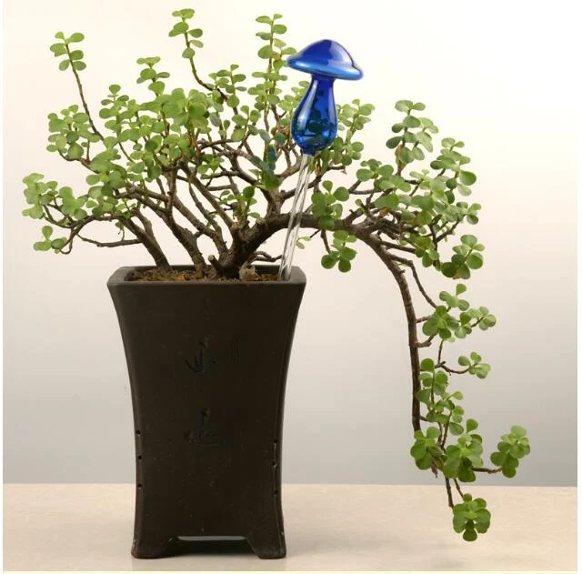product image - 26