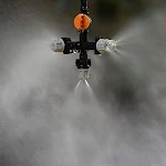 miniatures image - 2
