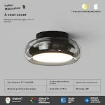 A Smoky Gray Lampshade