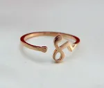 Capricorn