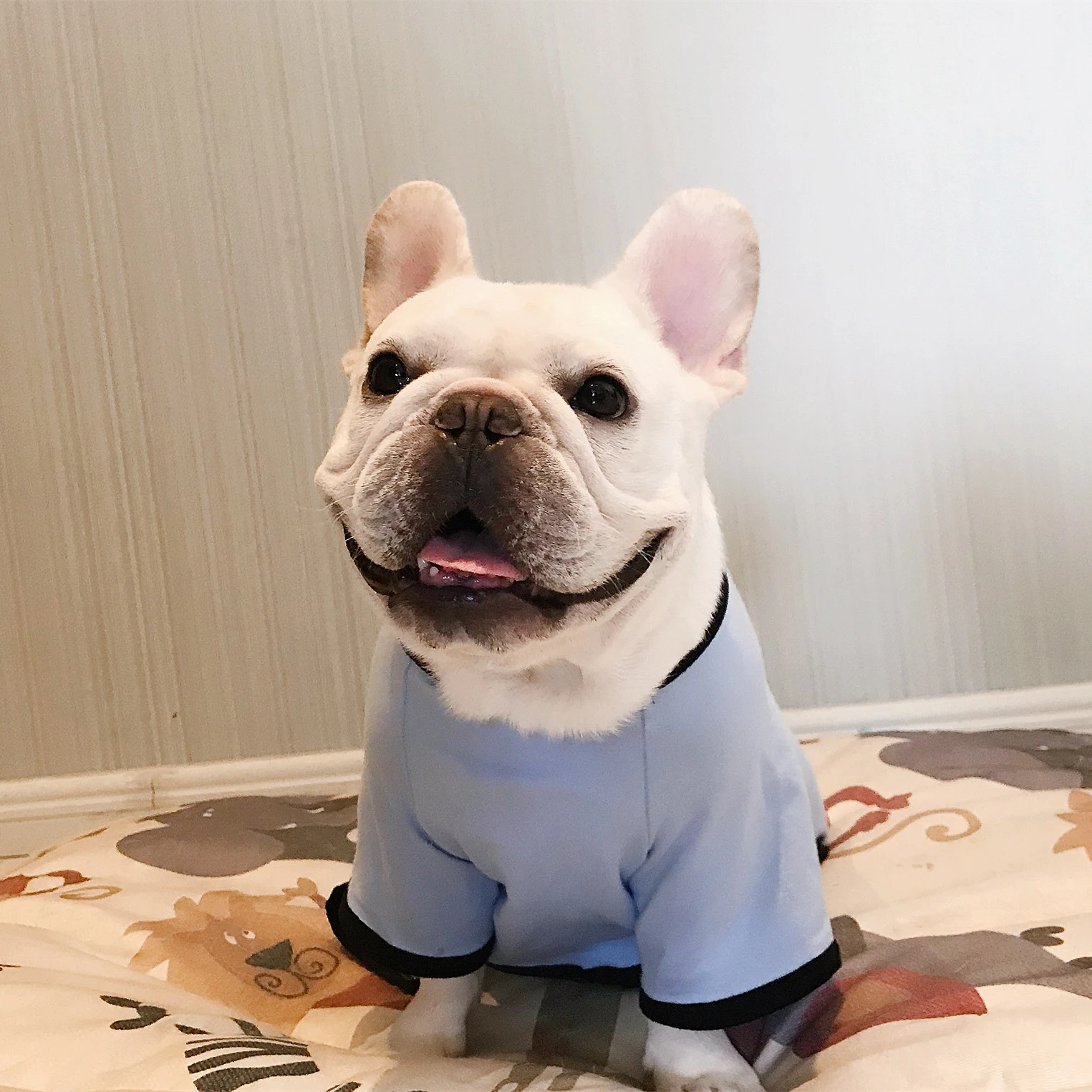 Title 5, Fat Dog Four-Legged Cotton Printed Pajamas. Com...