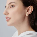 Brincos femininos de moissanita para todas as ocasiões. Design elegante e versátil, combinando com qualquer roupa. Brilho deslumbrante para você. — foto 8