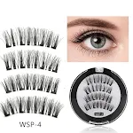 WSP 4