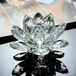 80mm Transparent