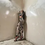 miniatures image - 5