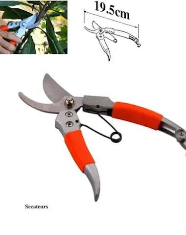 Image product - 3