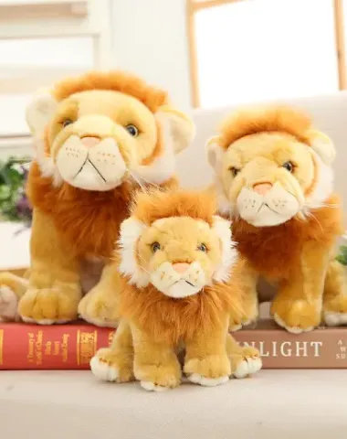 Image product - 2