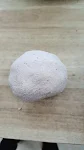 Powerful Bait for Silver Carp & Bighead Carp Attracts and Catches More Fish Maximize Your Catch Today with This Effectiv — photo 4