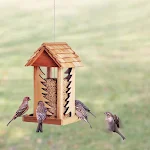 miniatures image - 0