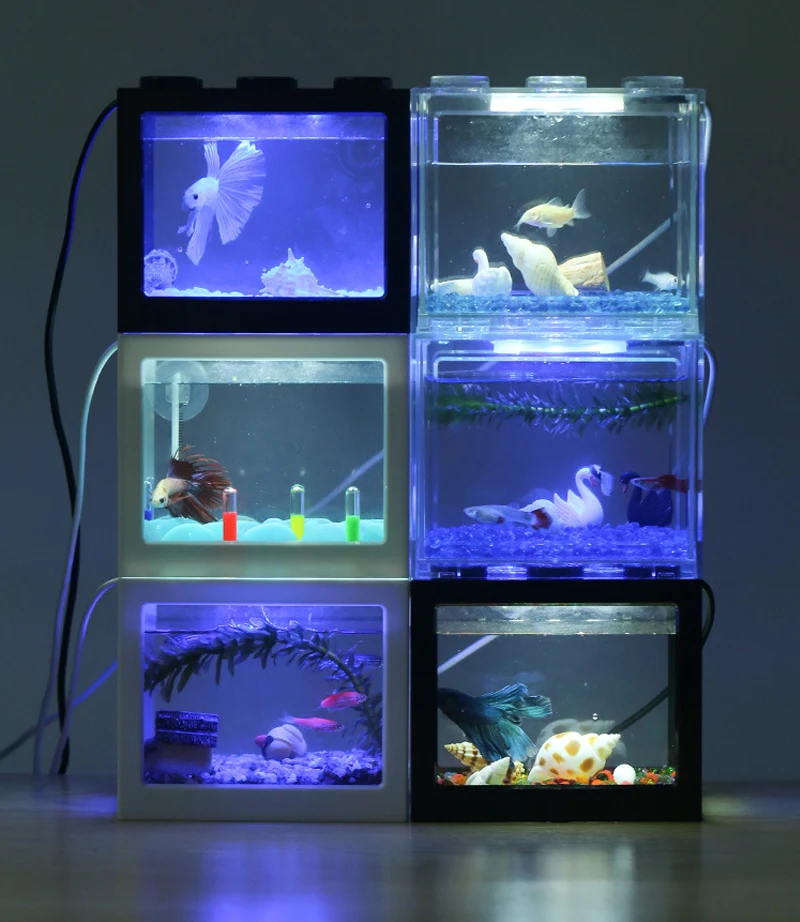 Title 8, Betta fish Fighting Cylinder Rumble Fish Cylind...