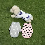miniatures image - 2