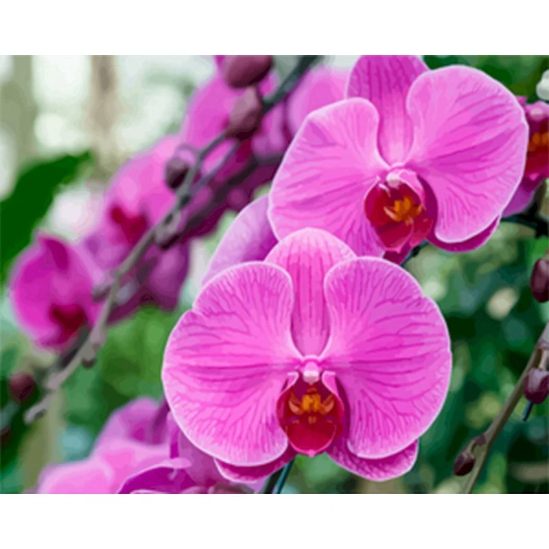 product image - 9