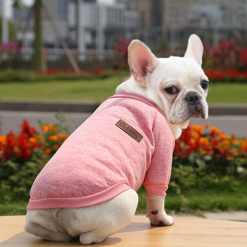 Title 4, Fall Winter New Style Sweater Two-legged Clothe...