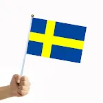 Swedish Hand Shake