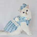 Evcil Hayvan Eteği Kedi Moda Sevimli Elbise. Kedinize bu sevimli elbise ile büyüleyici bir görünüm kazandırın ve onu öne çıkarın. — Fotoğraf 29