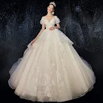 Abito da sposa taglia forte premaman con copertura della pancia, maniche corte alla francese, strascico e filato principale. — foto 2