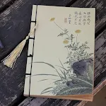 Chrysanthemum A5