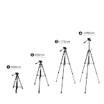 miniatures image - 2