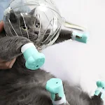 Cat Muzzles Helmet Cover for Recovery Healing- Protective Hard Space Headgear Anti-Bite Licking Wound Clear Helmet A0KF — photo 6