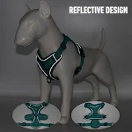 miniatures image - 9