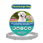 Large dog