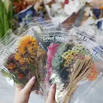 miniatures image - 11