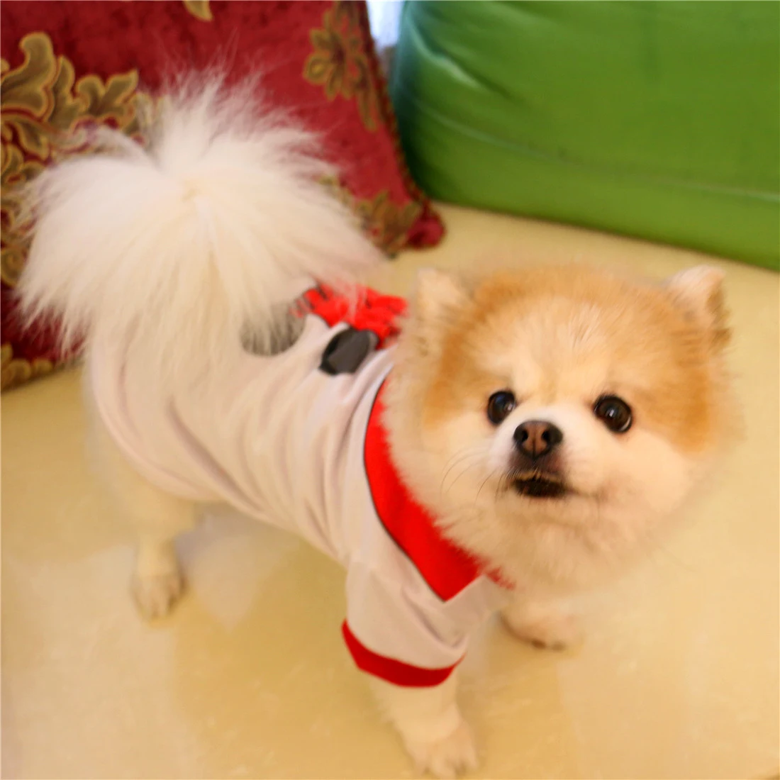 Title 8, Chaleco navideño para perros Mantén a tu perro ...