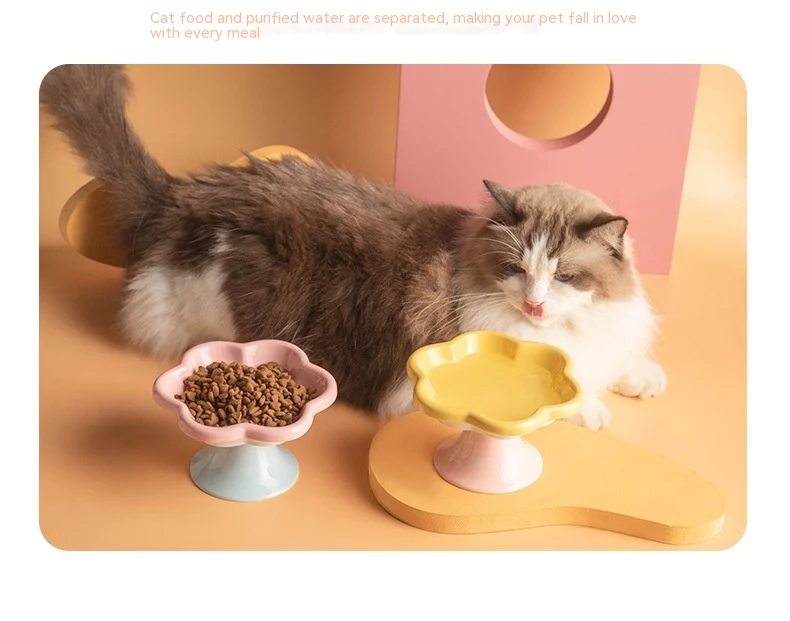 Title 16, Ceramic Pet Cat Bowl with Flower Design, High F...
