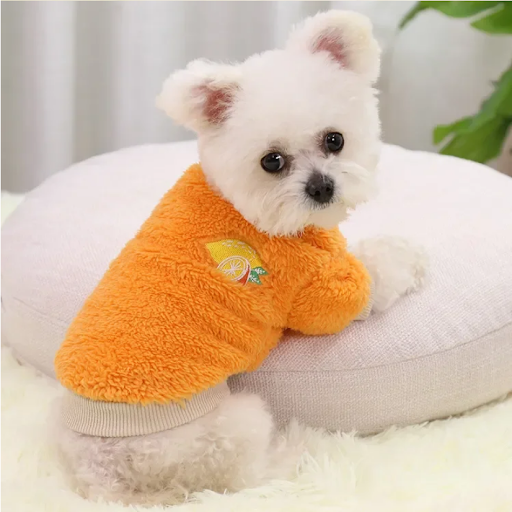 2024 New Fashion Pet Clothes Breathable Dog Clothes Durable Soft Dog Cute Print Puppy Clothes For Pet Suministros Para P — photo 5