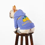 Winter Cartoon Printed Plush Pet Hoodie, a warm and cozy pullover for small dogs and cats, adorable design for winter wa — photo 1