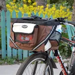 Pet Bicycle Carrier Cat Dog Bicycle Bag Bike Removable Basket Handlebar Front Basket Small Cat Dog Carrier Ride with you — photo 6