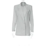 Silver Coat