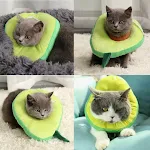 Adjustable Pet Neck Cone Recovery Collar Cat Soft Lemon Neck Cone Adjustable Pet E Collar After Surgery Comfortable Prot — photo 10