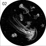 02 Jellyfish