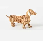 Dachshund