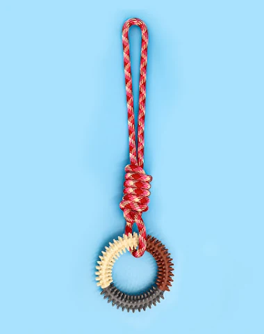 Image product - 1