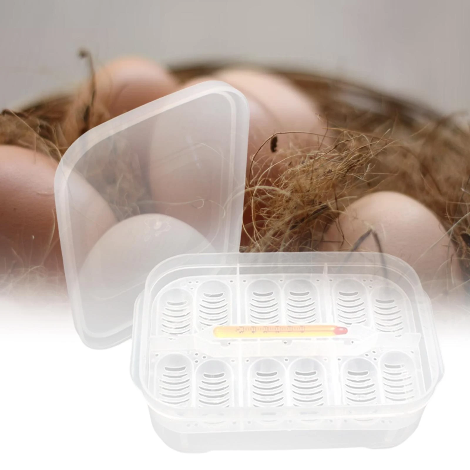 Title 4, Plastic Reptile Egg Tray Incubator 12 Grids The...