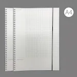 A4 2 lattice