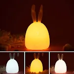 Tricolor Fat Rabbit
