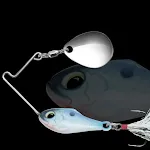 Rhodeus small carp.