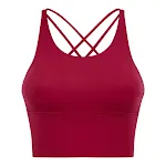 High Strength Push Up Yoga Bra Spaghetti Strap Cross Beauty Back Workout Exercise Underwear for Women's Fitness — photo 19