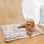 cat footprints