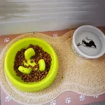 miniatures image - 5